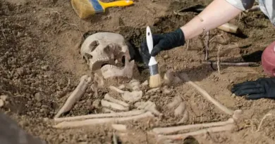 Ancient Puzzle Piece Unearthed: Scientists Reveal Previously Unknown Human Species