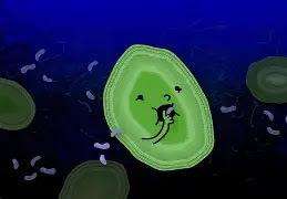 The Lakes That Change Color Like Mood Rings