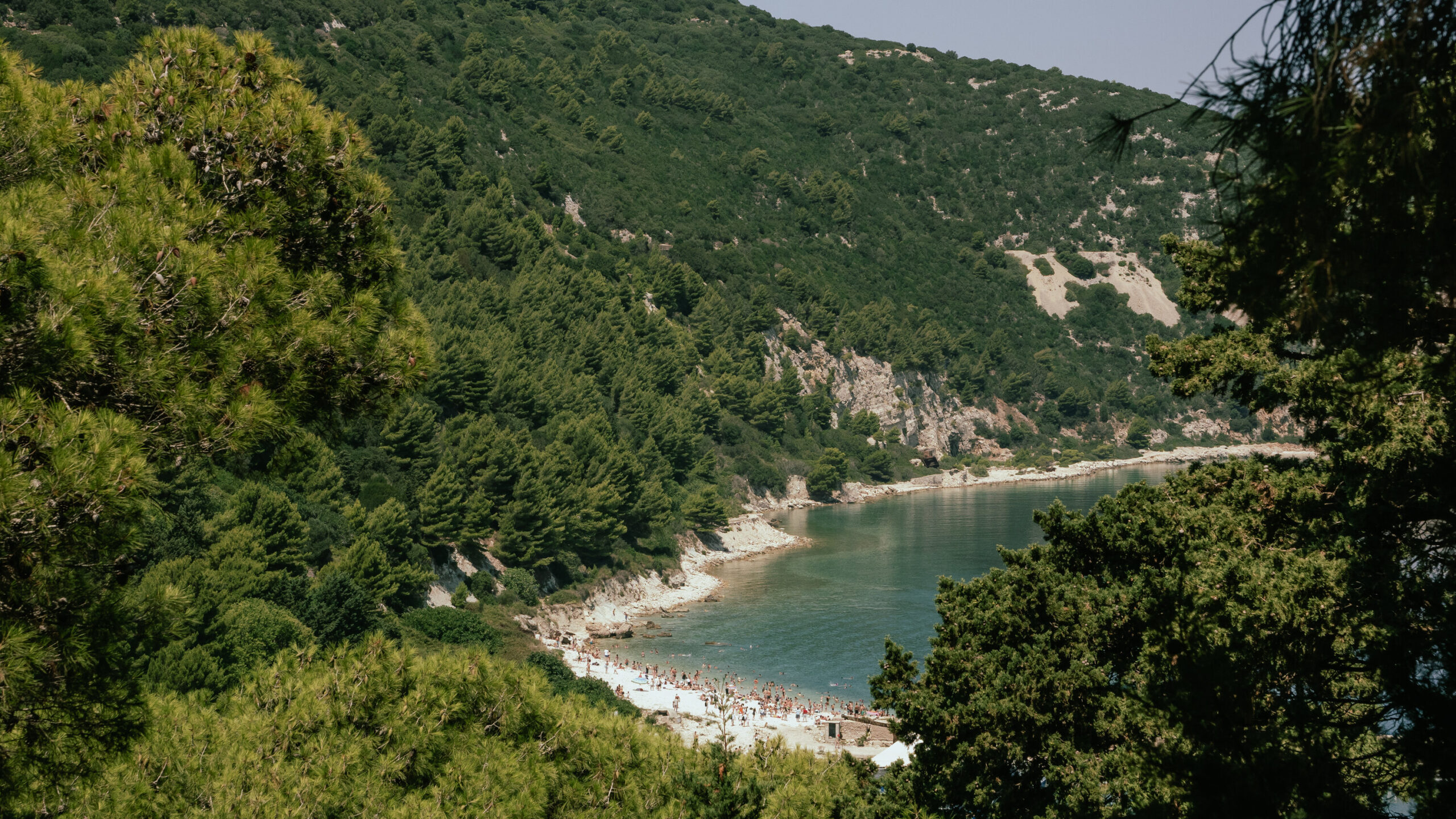A secluded crescent-shaped beach surrounded by dense pine forest and rocky hills, with visitors along the shoreline and turquoise water.