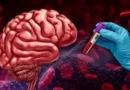 A detailed medical illustration showing the connection between blood analysis and brain function, featuring a human brain alongside a gloved hand holding a blood sample, symbolizing research on Blood Biomarkers for Alzheimer’s.