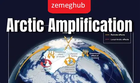 Arctic Amplification illustrated through a scientific diagram showing feedback loops, moisture effects, cloud transitions, and warming processes in the Arctic region.