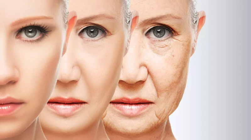 longevity limit aging progression illustration