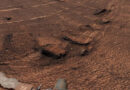 Curiosity honeycomb formations on Mars showing polygonal fractures across a reddish rocky terrain captured by the rover.