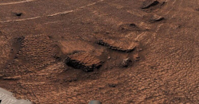 Curiosity honeycomb formations on Mars showing polygonal fractures across a reddish rocky terrain captured by the rover.