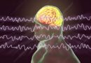 A surge of gamma waves captured in the final moments of human brain activity, showing how consciousness may persist even after the heart stops.